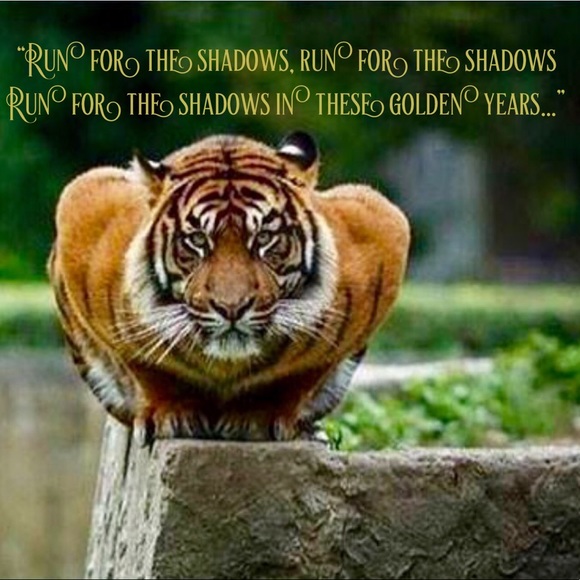 Culture pop collectible shop – threadz Division* - Picture 1 of 8